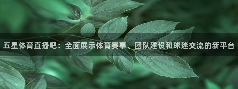 极速直播吧nba直播