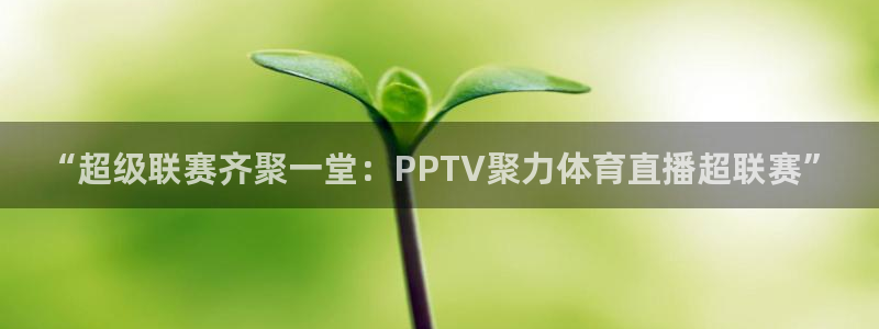 足球直播 极速体育
