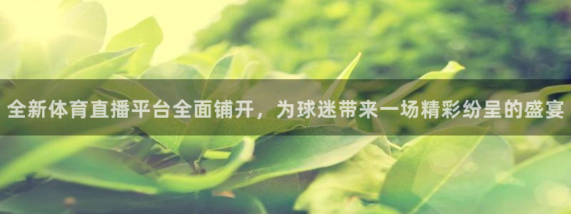 nba极速体育在线直播观看