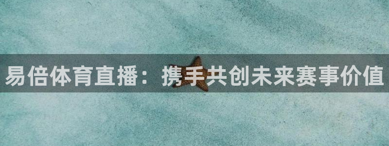 极速体育篮球直播在线观看