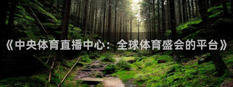 极速体育视频在线直播：《中央体育直播中心：全球体育盛会的平台》