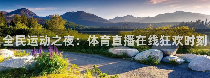体育吧直播极速：全民运动之夜：体育直播在线狂欢时刻