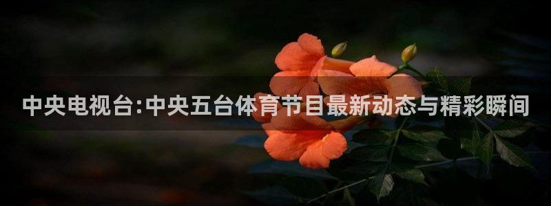 极速体育直播jrs：中央电视台:中央五台体育节目最新动态与精彩瞬间