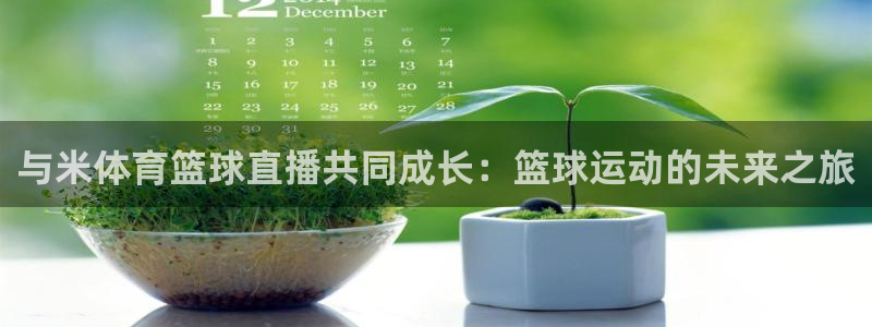 极速体育在线观看免费直播：与米体育篮球直播共同成长：篮球运动的未来之旅