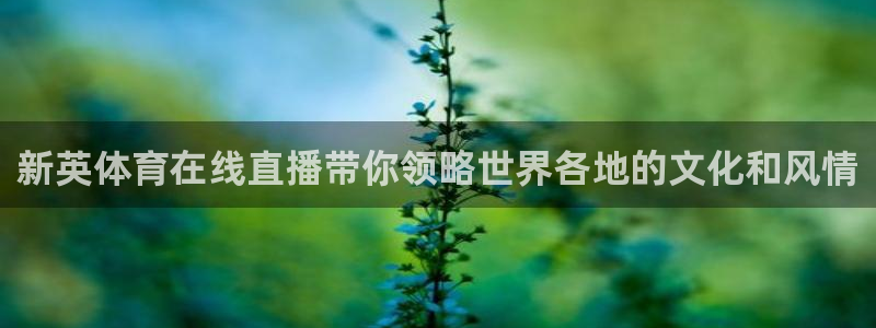 nba极速体育在线直播：新英体育在线直播带你领略世界各地的文化和风情